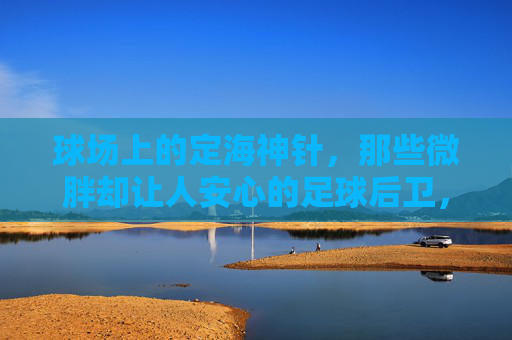 球场上的定海神针,那些微胖却让人安心的足球后卫,微胖后卫,球场定海神针,安心防线