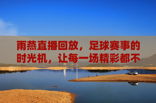 雨燕直播回放，足球赛事的时光机，让每一场精彩都不缺席，雨燕直播回放，足球赛事的时光机，精彩永不缺席