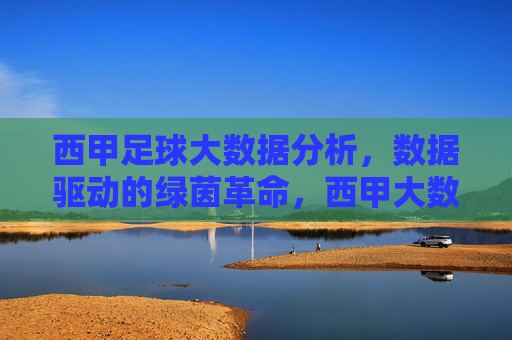 西甲足球大数据分析,数据驱动的绿茵革命,西甲大数据,数据驱动的绿茵革命