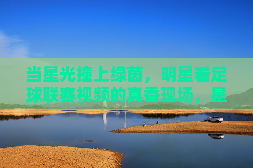 当星光撞上绿茵，明星看足球联赛视频的真香现场，星光撞上绿茵，明星看足球联赛的真香现场