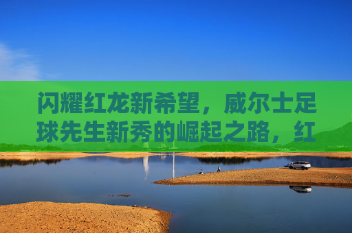 闪耀红龙新希望,威尔士足球先生新秀的崛起之路,红龙新希望,威尔士足球先生新秀崛起之路