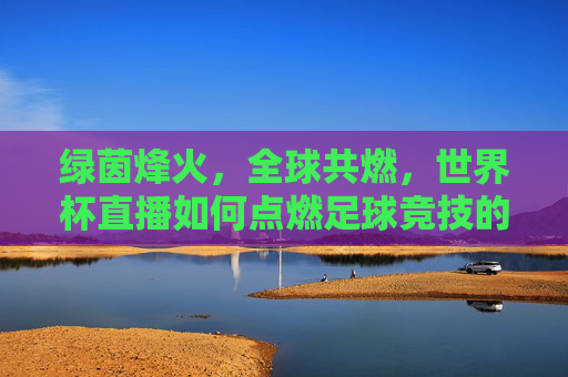 绿茵烽火，全球共燃，世界杯直播如何点燃足球竞技的激情与梦想，世界杯直播，燃绿茵烽火，聚全球梦想