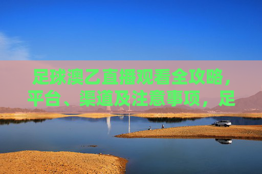 足球澳乙直播观看全攻略，平台、渠道及注意事项，足球澳乙直播观看全攻略，平台、渠道及注意事项