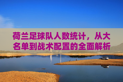 荷兰足球队人数统计,从大名单到战术配置的全面解析,荷兰足球队,从大名单人数到战术配置的全面解析