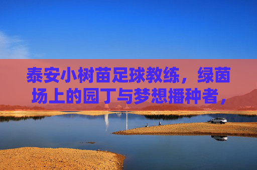 泰安小树苗足球教练,绿茵场上的园丁与梦想播种者,泰安小树苗足球教练,绿茵园丁,梦想播种者
