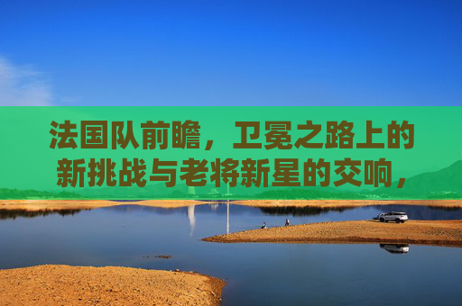 法国队前瞻，卫冕之路上的新挑战与老将新星的交响，法国队卫冕交响，老将新星共谱挑战新篇