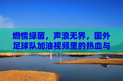 燃情绿茵,声浪无界,国外足球队加油视频里的热血与共鸣,燃情绿茵,声浪无界,国外足球队加油视频的热血共鸣