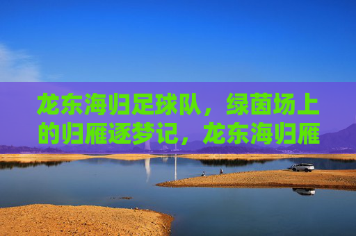 龙东海归足球队,绿茵场上的归雁逐梦记,龙东海归雁,绿茵逐梦记