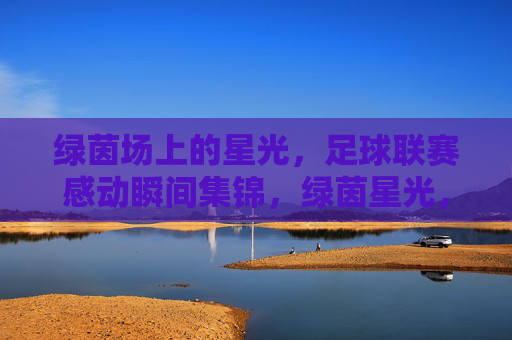 绿茵场上的星光,足球联赛感动瞬间集锦,绿茵星光,足球联赛感动瞬间集锦