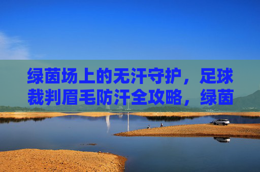 绿茵场上的无汗守护,足球裁判眉毛防汗全攻略,绿茵场上的无汗守护,足球裁判眉毛防汗全攻略