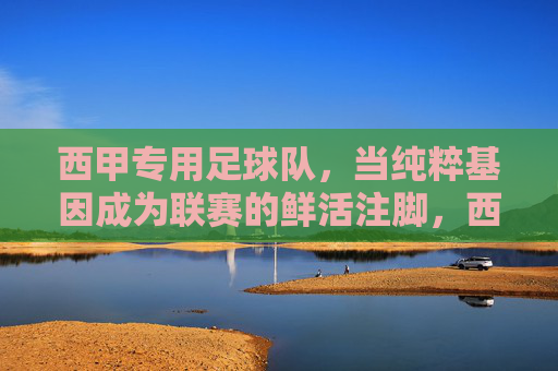 西甲专用足球队,当纯粹基因成为联赛的鲜活注脚,西甲专用球队的纯粹基因,联赛鲜活的风格注脚