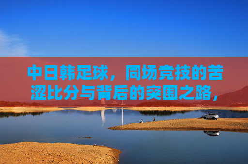 中日韩足球,同场竞技的苦涩比分与背后的突围之路,中日韩足球,苦涩比分下的突围之路