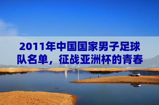 2011年中国国家男子足球队名单,征战亚洲杯的青春与遗憾,2011国足亚洲杯,青春出征的遗憾