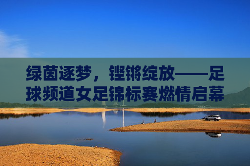 绿茵逐梦，铿锵绽放——足球频道女足锦标赛燃情启幕，绿茵逐梦铿锵绽放，足球频道女足锦标赛燃情启幕