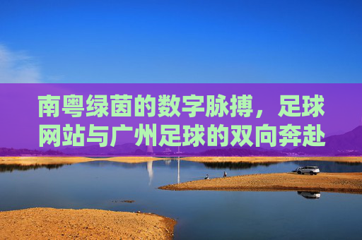 南粤绿茵的数字脉搏,足球网站与广州足球的双向奔赴,南粤绿茵数字脉动,足球网站与广州足球的双向奔赴