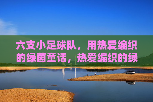 六支小足球队，用热爱编织的绿茵童话，热爱编织的绿茵童话，六支小队的梦