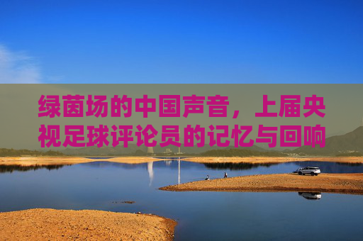 绿茵场的中国声音,上届央视足球评论员的记忆与回响