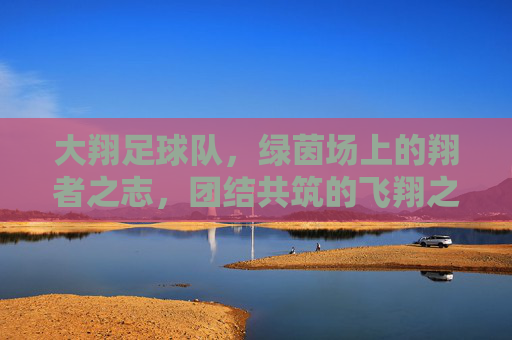 大翔足球队,绿茵场上的翔者之志,团结共筑的飞翔之梦