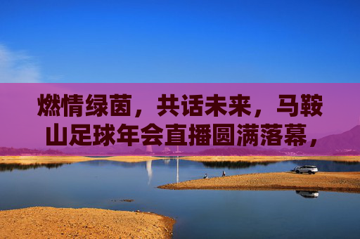 燃情绿茵,共话未来,马鞍山足球年会直播圆满落幕,见证城市足球新篇章,马鞍山足球年会直播圆满落幕 见证城市足球新篇章