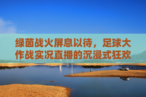 绿茵战火屏息以待，足球大作战实况直播的沉浸式狂欢，绿茵战火实况直播沉浸式狂欢