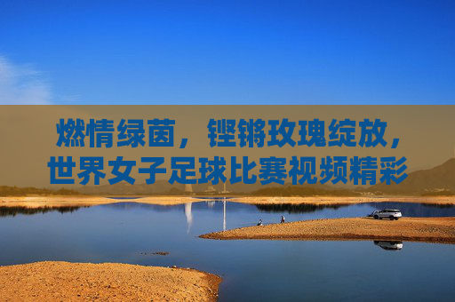燃情绿茵,铿锵玫瑰绽放,世界女子足球比赛视频精彩回顾,燃情绿茵铿锵玫瑰绽放,世界女子足球比赛精彩回顾