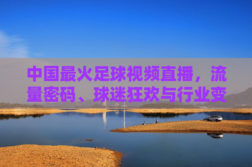 中国最火足球视频直播，流量密码、球迷狂欢与行业变革，流量狂欢与行业变革，中国最火足球视频直播的破局