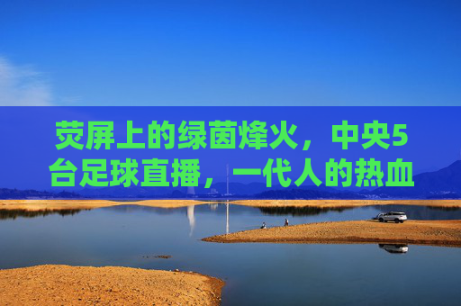 荧屏上的绿茵烽火,中央5台足球直播,一代人的热血记忆