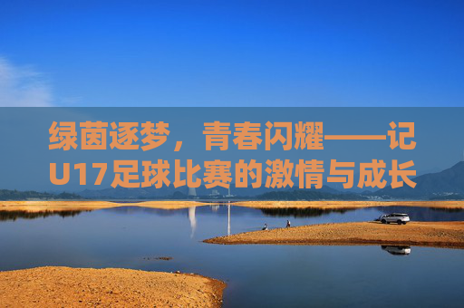 绿茵逐梦，青春闪耀——记U17足球比赛的激情与成长，绿茵逐梦，青春成长