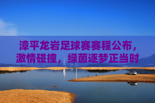 漳平龙岩足球赛赛程公布，激情碰撞，绿茵逐梦正当时，漳平龙岩足球赛赛程公布，激情碰撞绿茵逐梦正当时