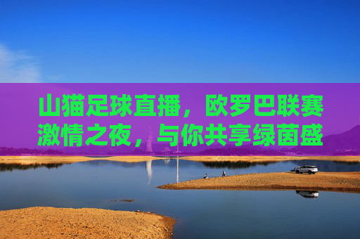 山猫足球直播,欧罗巴联赛激情之夜,与你共享绿茵盛宴,欧罗巴联赛激情之夜,山猫足球直播共享绿茵盛宴