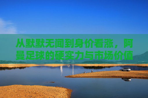 从默默无闻到身价看涨,阿曼足球的硬实力与市场价值,阿曼足球,硬实力崛起与市场价值看涨