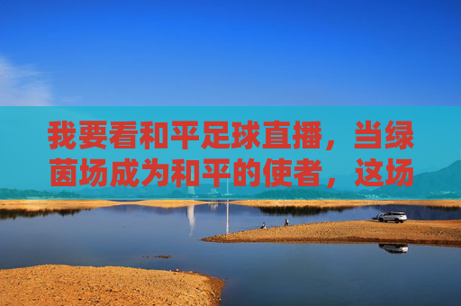 我要看和平足球直播，当绿茵场成为和平的使者，这场直播值得每个热爱的人守望，绿茵场作和平使者，这场足球直播值得热爱守望