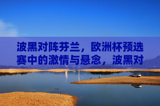 波黑对阵芬兰，欧洲杯预选赛中的激情与悬念，波黑对阵芬兰，欧洲杯预选赛激情与悬念