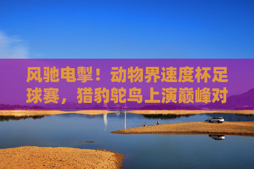 风驰电掣！动物界速度杯足球赛，猎豹鸵鸟上演巅峰对决，风驰电掣！猎豹鸵鸟巅峰对决——动物界速度杯足球赛