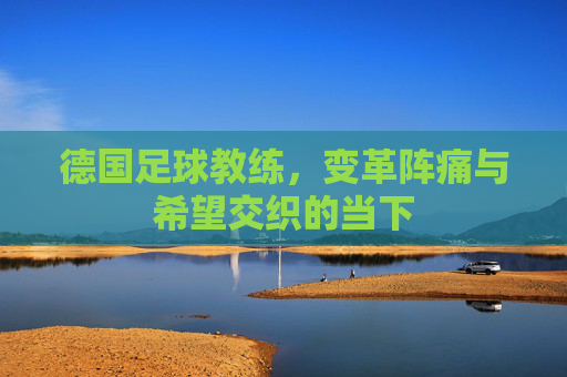 德国足球教练,变革阵痛与希望交织的当下