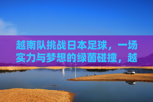 越南队挑战日本足球，一场实力与梦想的绿茵碰撞，越南挑战日本，实力与梦想的绿茵碰撞