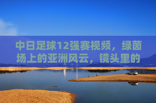 中日足球12强赛视频,绿茵场上的亚洲风云,镜头里的热血与遗憾,绿茵风云,中日12强赛的热血与遗憾