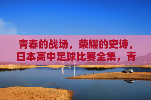 青春的战场，荣耀的史诗，日本高中足球比赛全集，青春战场·荣耀史诗，日本高中足球全集