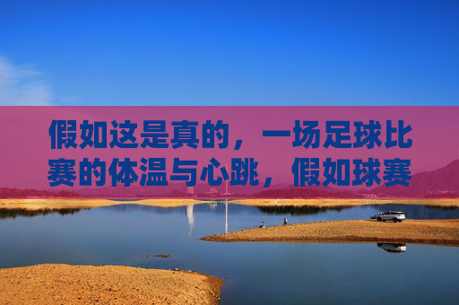 假如这是真的,一场足球比赛的体温与心跳,假如球赛有心跳与体温
