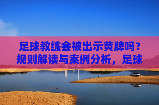 足球教练会被出示黄牌吗?规则解读与案例分析,足球教练黄牌规则解读与案例分析
