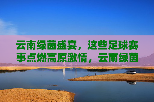 云南绿茵盛宴,这些足球赛事点燃高原激情,云南绿茵盛宴点燃高原足球激情