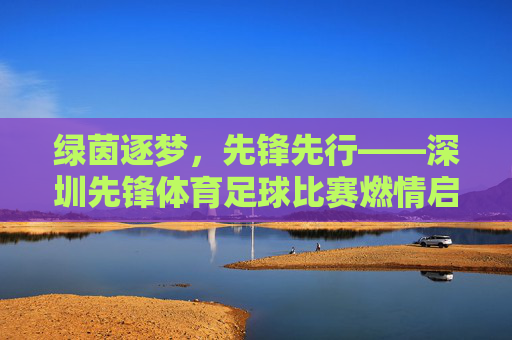 绿茵逐梦，先锋先行——深圳先锋体育足球比赛燃情启幕，绿茵逐梦，先锋足球燃情启幕