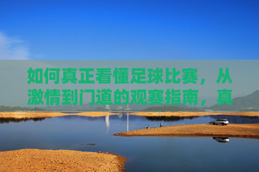 如何真正看懂足球比赛，从激情到门道的观赛指南，真正看懂足球，从激情观赛到门道指南