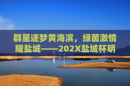 群星逐梦黄海滨，绿茵激情耀盐城——202X盐城杯明星足球赛燃情落幕，202X盐城杯明星足球赛，群星逐梦盐城，绿茵激情落幕
