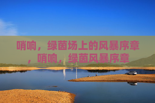 哨响，绿茵场上的风暴序章，哨响，绿茵风暴序章