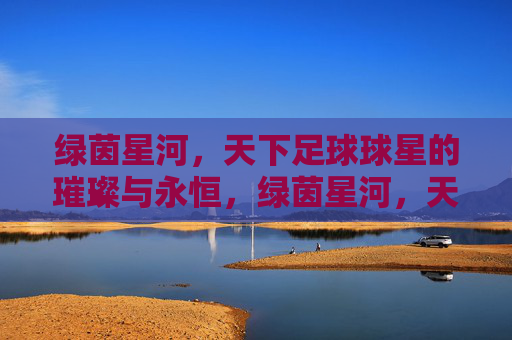 绿茵星河,天下足球球星的璀璨与永恒,绿茵星河,天下足球球星的璀璨与永恒