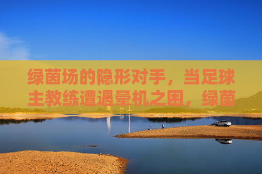 绿茵场的隐形对手,当足球主教练遭遇晕机之困,绿茵场隐形对手,足球教练的晕机之困
