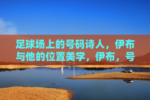 足球场上的号码诗人,伊布与他的位置美学,伊布,号码诗人的位置美学