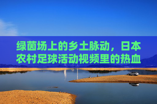 绿茵场上的乡土脉动，日本农村足球活动视频里的热血与温情，绿茵场上的乡土脉动，日本农村足球的热血与温情