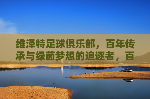 维泽特足球俱乐部,百年传承与绿茵梦想的追逐者,百年维泽特,绿茵梦想的传承者